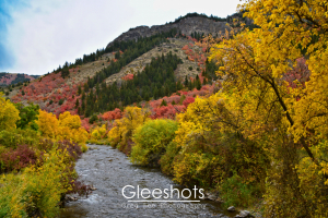 The Logan River flows through a vibrant autumn landscape with colorful trees in shades of yellow, pink, and green, set against a mountain backdrop under a cloudy sky.  Utah Landscape Photography Print.