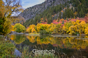 The Logan River reflects vibrant autumn trees with yellow, green, and pink leaves, set against a forested mountainside. Tall grasses line the riverbank, and a small footbridge is visible in the background.  Utah Landscape Photography Print for Sale.