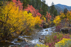 The scenic Logan River flows through vibrant autumn foliage, with yellow, purple, and red foliage lining the banks and evergreens in the background under a partly cloudy sky.  Utah Landscape Photography Print.