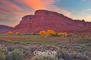 At the Sorrel River Ranch in Moab, a dramatic red mesa rises behind a green field with scattered trees glowing yellow in autumn, under a colorful sunset sky. Ranch buildings and grazing cows are visible near the base of the mesa.  Utah Fine Art Landscape Photography for Sale.