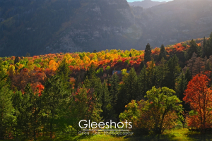 The valley below Mt Timpanogos in autumn features vibrant red, orange, yellow, and green foliage under sunlight as the sun sets behind the mountain.  Utah Fine Art Landscape Photography for Sale.