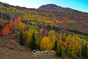 One of the ski areas in Park City transforms into a vibrant autumn landscape in the fall, with hillsides covered with trees in shades of yellow, orange, red, pink, purple, and green.  A ski lift is partially visible in the background.  Utah Fine Art Landscape Photography for Sale.