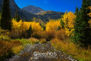 A rocky creek runs through a vibrant autumn forest with yellow foliage, framed by tall evergreen trees and the peaks of Mount Timpanogos under a bright blue sky.   Utah Fine Art Landscape Photography for Sale.