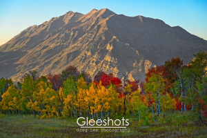 In this dramatic scene, Mt Timpanogos stands behind a grove of colorful red, yellow, and green aspen and maple trees in Cascade Meadow.   Utah Fine Art Landscape Photography Print for Sale.