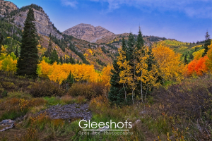 A scenic mountain landscape on Mt Timpanogos, with vibrant autumn foliage in shades of yellow, orange, and green, tall pine trees, and rugged peaks under a partly cloudy blue sky.  Utah Fine Art Landscape Photography for Sale.