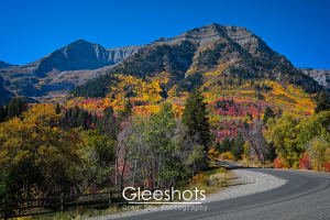 The Alpine Loop curves its way through Mt Timpanogos in autumn, showcasing vibrant fall foliage in red and yellow hues.  Utah Fine Art Landscape Photography for Sale.