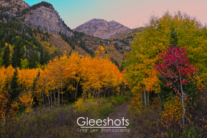 An autumn scene of a hiking trail at dusk, with golden yellow, green, and red aspen trees and the peaks of Mount Timpanogos rising in the distance.  Utah Fine Art Landscape Photography for Sale.