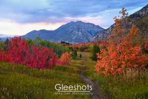 This scenic autumn landscape in Cascade Meadows features a winding dirt path through vibrant red and orange maple trees, with green grass and Mt Timpanogos in the background.  Utah Fine Art Landscape Photography Print for Sale.