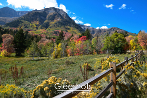 A scenic mountain landscape with colorful autumn trees, a wooden fence in the foreground, and clear blue sky above. Wildflowers and grasses cover the field, as Mt Timpanogos rises in the background.  Utah Fine Art Landscape Photography Print for Sale.
