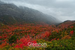 A scenic view of Cascade Mountain valley covered in vibrant red, orange, and green autumn foliage under a cloudy sky, with misty snow-capped mountains.  Utah Fine Art Landscape Photography for Sale.