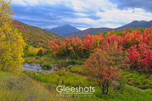 A vibrant autumn landscape near Cascade Springs shows red, orange, and yellow trees surrounding a small stream, with green hills and distant mountains under a cloudy sky.   Utah Landscape Photography for Sale.