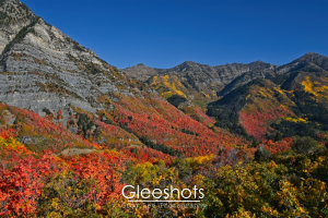 Cascade Mountain displays colorful autumn foliage in vibrant reds, oranges, and yellows, which cover rolling slopes and valleys at the base under a bright blue sky.   Utah Fine Art Landscape Photography Print for Sale.