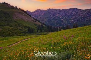 A vibrant mountain meadow in the Albion Basin is filled with wildflowers and green grass, surrounded by forested hills and distant mountains under a pink and orange sunset sky.  Utah Fine Art Landscape Photography Print for Sale.