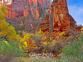 The red rock cliffs of Zion National Park tower above colorful autumn trees and shrubs.  The Virgin River and the Temple of Sinawava are in the foreground.  The scene features vibrant reds, oranges, and yellows.   National Park Fine Art Landscape Photography for Sale.