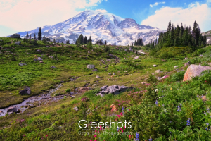 The snow-covered Mt Rainier rises behind a lush green meadow with pink and purple wildflowers, rocks, and a small stream under a partly cloudy sky.   Mt Rainier Fine Art Landscape Photography for Sale.