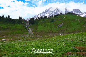 Mount Rainier towers over this scene of a wildflower meadow, with the Edith Creek Chlorination House and a waterfall in the distance.  National Park Fine Art Landscape Photography Print for Sale.