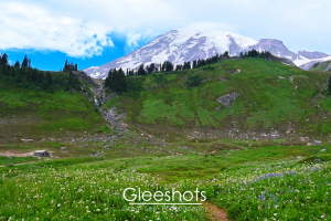 The snow-capped peaks of Mount Rainier dominate this scene of a vibrant wildflower meadow with the Edith Creek Chlorination House and a waterfall in the distance.  Washington Fine Art Landscape Photography Print for Sale.