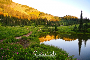 A glowing sunset-lit mountain reflects in Little Tipsoo Lake, surrounded by lush greenery, pink wildflowers, and a winding trail.  Washington Landscape Photography Print for Sale.