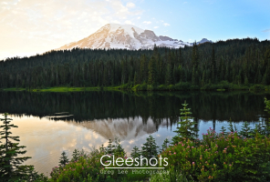 Mt Rainier rises behind a dense pine forest, reflecting in the calm Reflection Lake at sunset. Wildflowers and evergreen trees frame the foreground.  Rainier Landscape Photography for Sale.