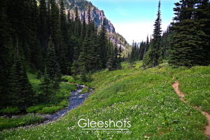 A narrow dirt trail winds through a lush green meadow dotted with wildflowers, alongside a flowing creek and tall evergreen trees, with mountains rising in the background.  Mt Rainier Landscape Photography for Sale.