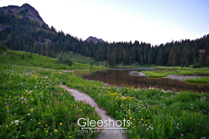 A scenic view of a tranquil Tipsoo Lake at dusk surrounded by colorful wildflowers, with a trail leading around the lake.  Washington Fine Art Landscape Photography Print for Sale.